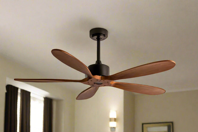 Eagle Remote Operated Forward And Reverse 5 Blades Ceiling Fan 1 PC By Wadbros