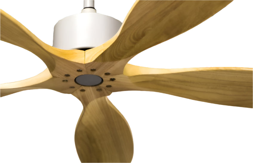 Golden Oriole Remote Operated Forward And Reverse 5 Blades Ceiling Fan 1 PC By Wadbros