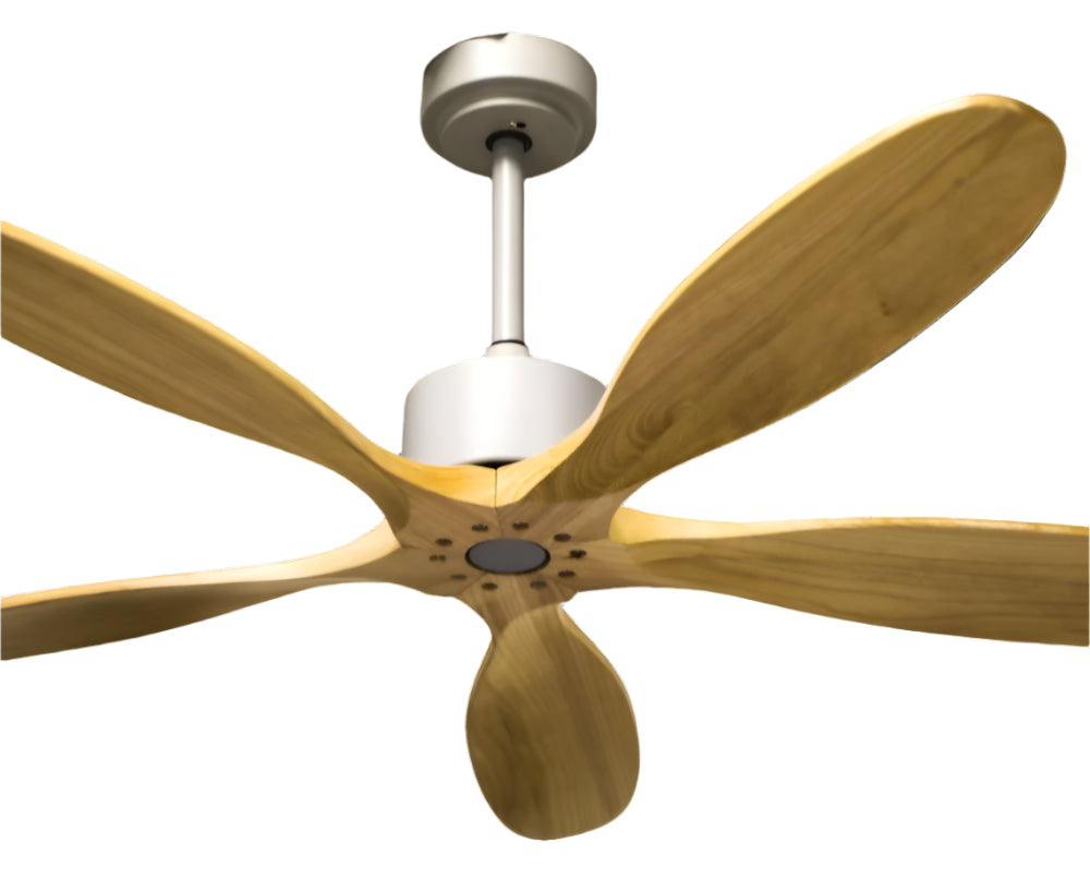 Golden Oriole Remote Operated Forward And Reverse 5 Blades Ceiling Fan 1 PC By Wadbros