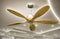 Golden Oriole Remote Operated Forward And Reverse 5 Blades Ceiling Fan 1 PC By Wadbros