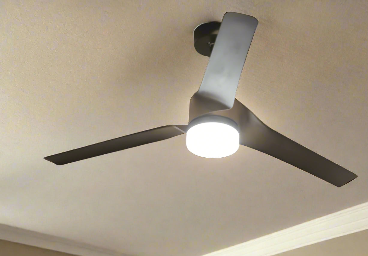 Hawk Remote Operated Forward And Reverse 3 Blades Ceiling Fan 1 PC By Wadbros