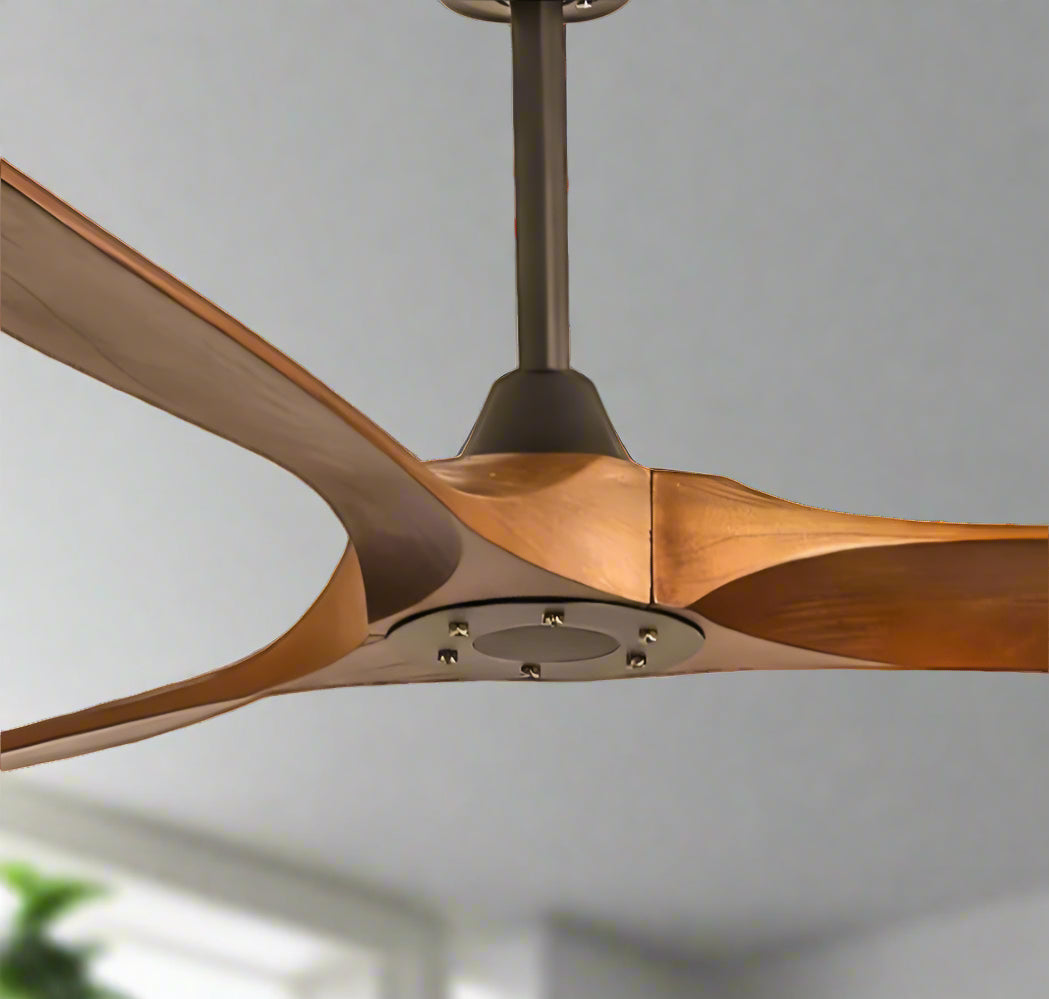 Ibis Remote Operated Forward And Reverse 3 Blades Ceiling Fan 1 PC By Wadbros