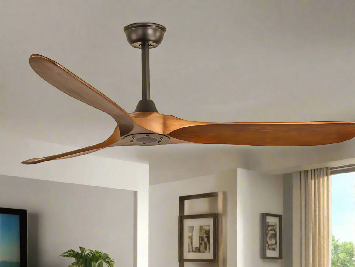 Ibis Remote Operated Forward And Reverse 3 Blades Ceiling Fan 1 PC By Wadbros