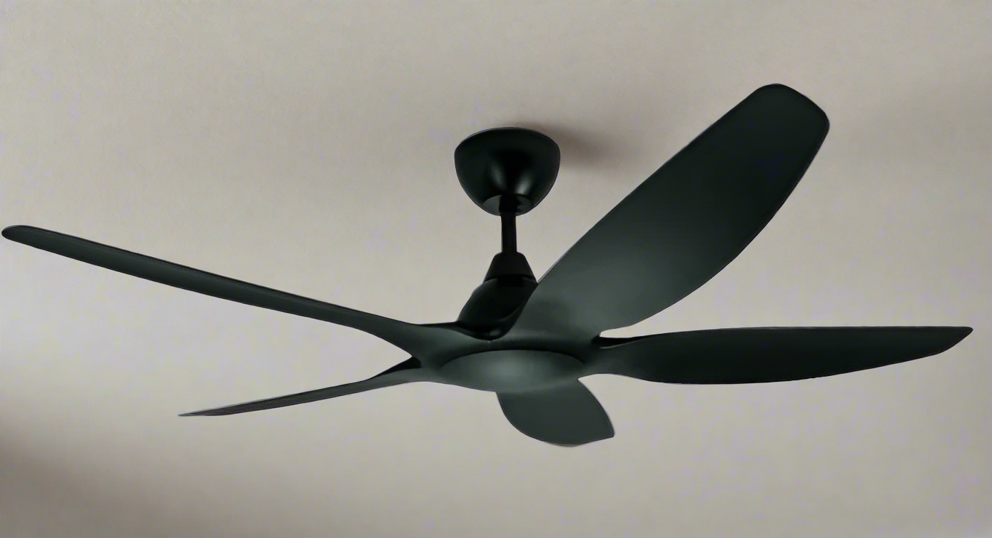 Jackdaw Remote Operated Forward And Reverse 5 Blades Ceiling Fan 1 PC By Wadbros