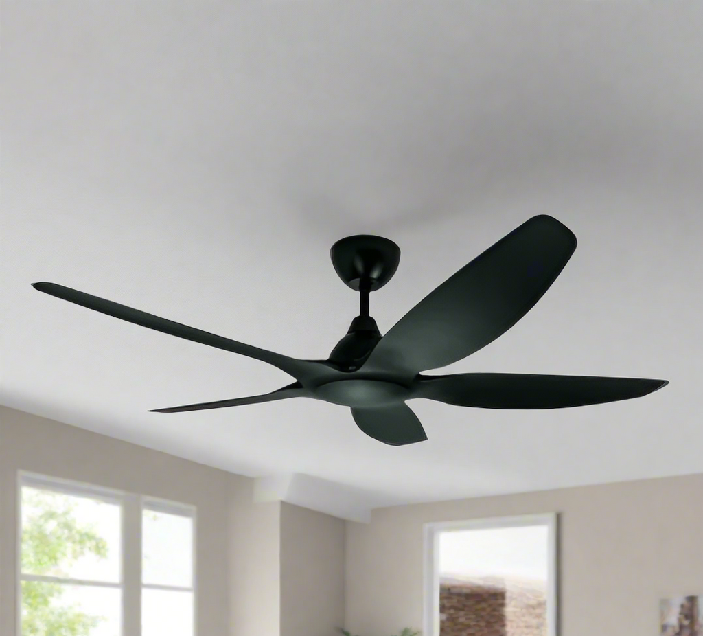 Jackdaw Remote Operated Forward And Reverse 5 Blades Ceiling Fan 1 PC By Wadbros