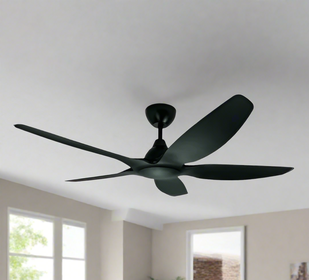 Jackdaw Remote Operated Forward And Reverse 5 Blades Ceiling Fan 1 PC By Wadbros