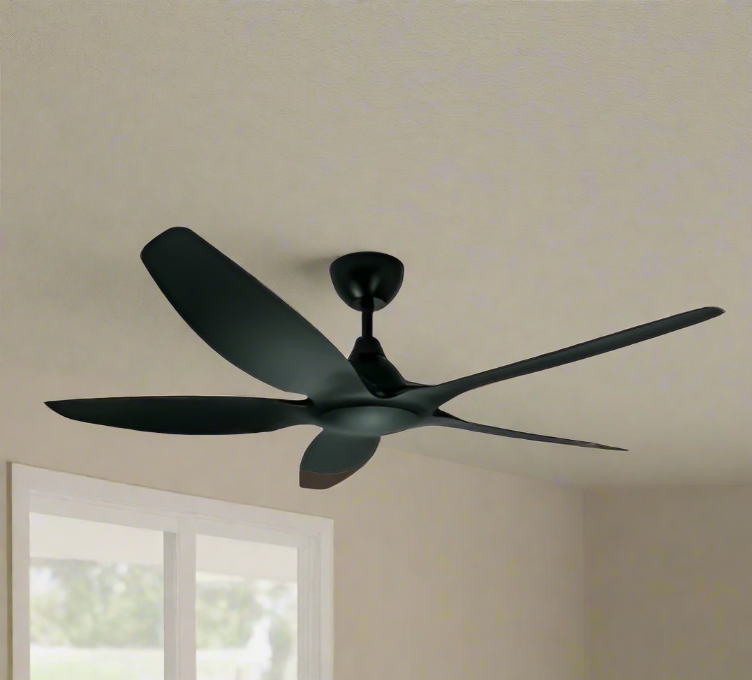 Jackdaw Remote Operated Forward And Reverse 5 Blades Ceiling Fan 1 PC By Wadbros