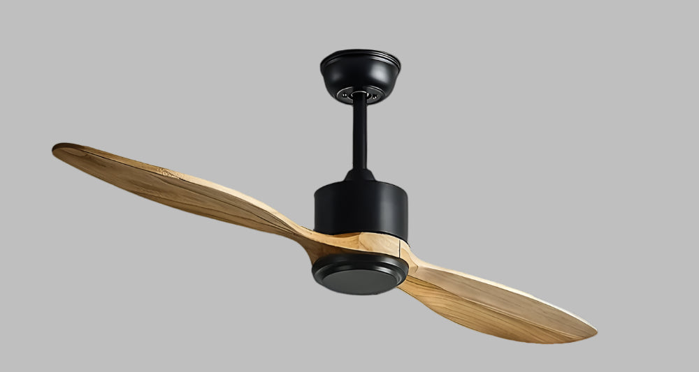 Kinglet Remote Operated Forward And Reverse 2 Blades Ceiling Fan 1 PC By Wadbros