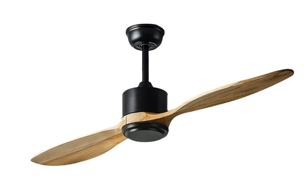 Kinglet Remote Operated Forward And Reverse 2 Blades Ceiling Fan 1 PC By Wadbros