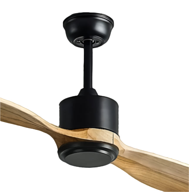 Kinglet Remote Operated Forward And Reverse 2 Blades Ceiling Fan 1 PC By Wadbros