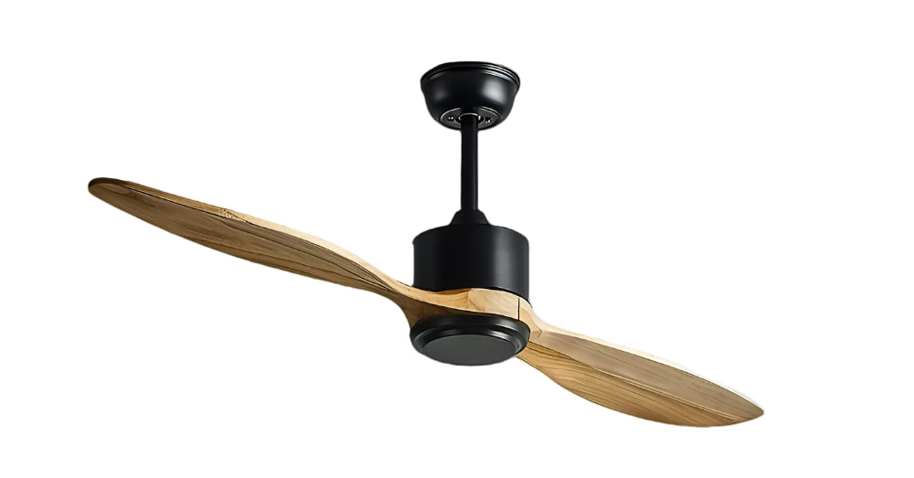 Kinglet Remote Operated Forward And Reverse 2 Blades Ceiling Fan 1 PC By Wadbros
