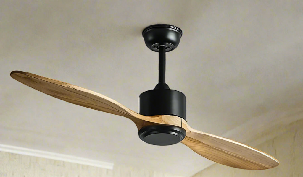 Kinglet Remote Operated Forward And Reverse 2 Blades Ceiling Fan 1 PC By Wadbros