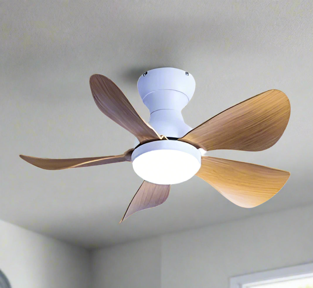 Prinia Remote Operated Forward And Reverse 5 Blades Ceiling Fan 1 PC By Wadbros
