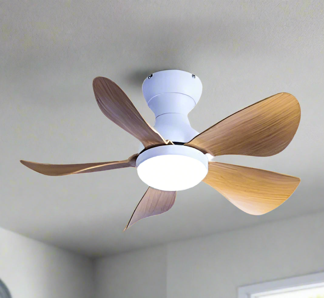 Prinia Remote Operated Forward And Reverse 5 Blades Ceiling Fan 1 PC By Wadbros