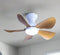 Prinia Remote Operated Forward And Reverse 5 Blades Ceiling Fan 1 PC By Wadbros