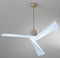 Tern Remote Operated Forward And Reverse 3 Blades Ceiling Fan 1 PC By Wadbros