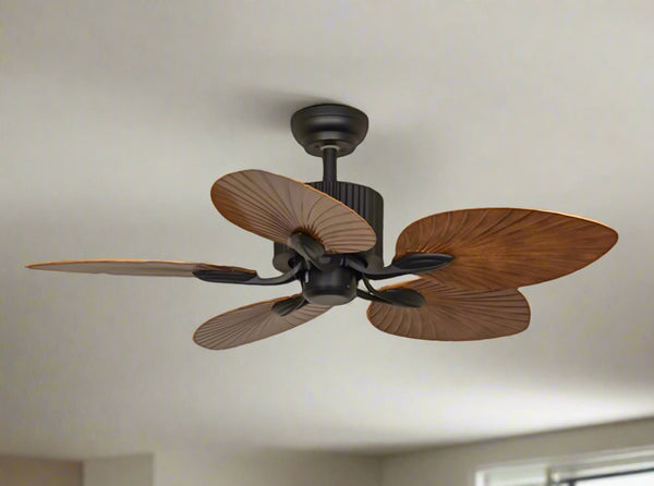 Teetar C Remote Operated Forward And Reverse 5 Blades Ceiling Fan 1 PC By Wadbros