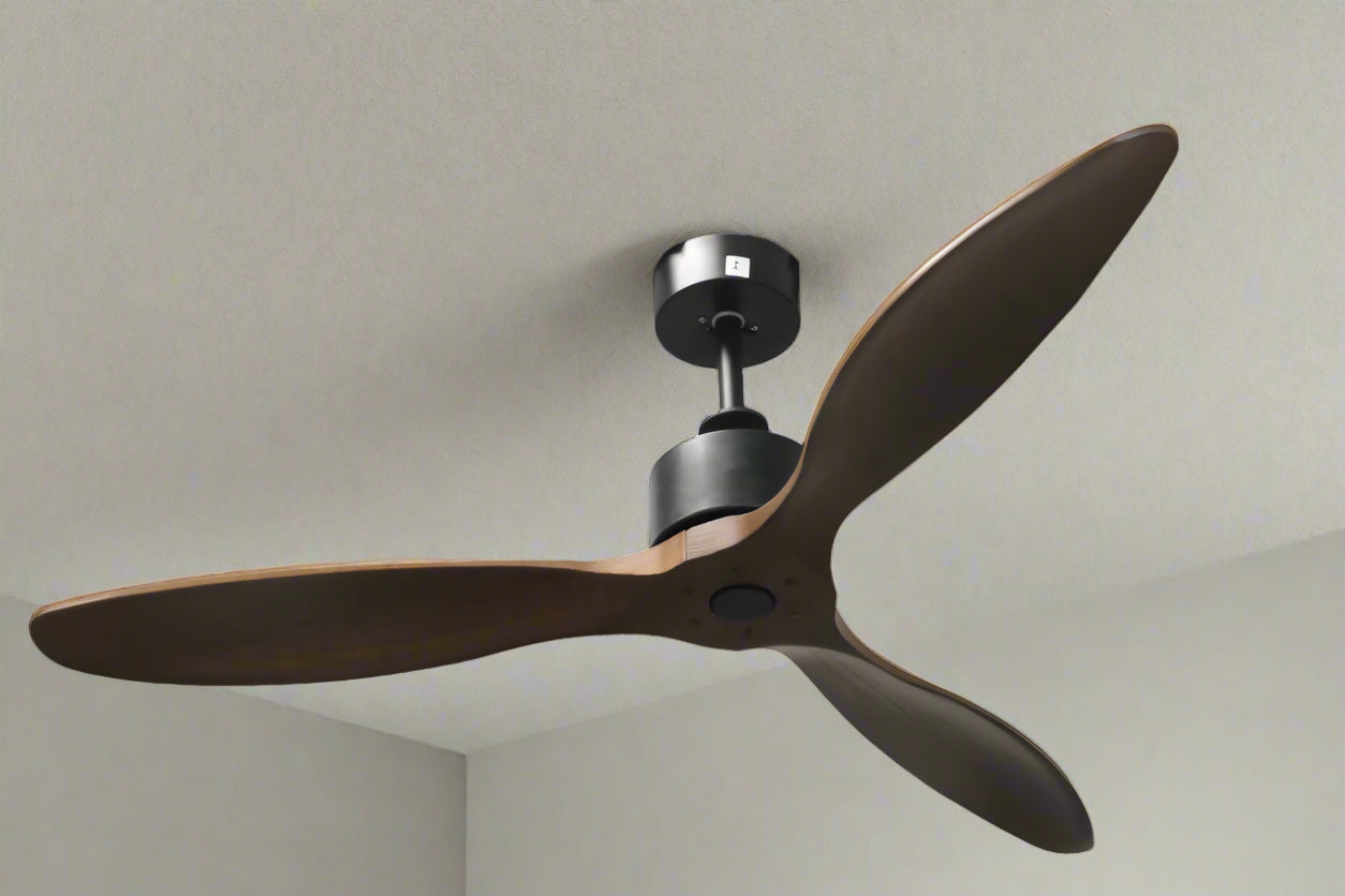 Woodpecker BLDC Remote Operated Forward And Reverse 3 Blades Ceiling Fan 1 PC By Wadbros