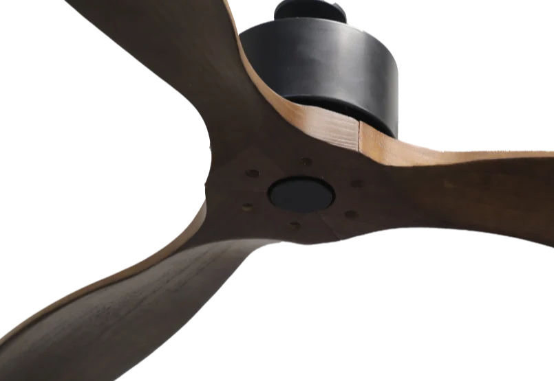 Woodpecker BLDC Remote Operated Forward And Reverse 3 Blades Ceiling Fan 1 PC By Wadbros