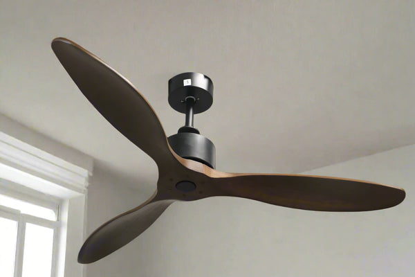 Woodpecker Remote Operated Forward And Reverse 3 Blades Ceiling Fan 1 PC By Wadbros