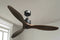 Woodpecker Remote Operated Forward And Reverse 3 Blades Ceiling Fan 1 PC By Wadbros