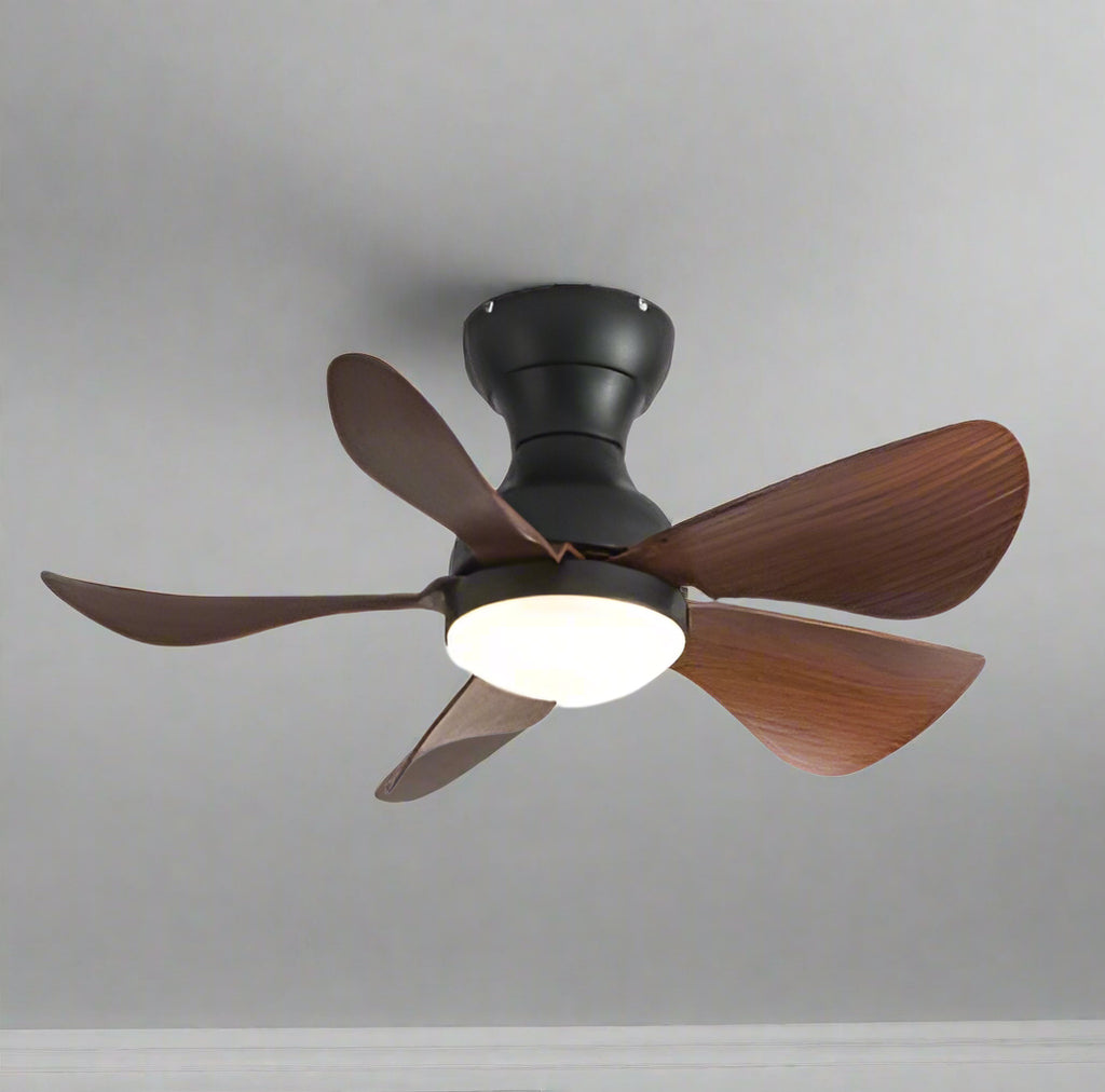 Prinia Remote Operated Forward And Reverse 5 Blades Ceiling Fan 1 PC By Wadbros