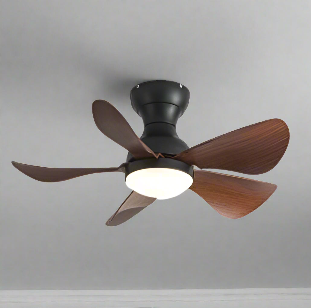 Prinia Remote Operated Forward And Reverse 5 Blades Ceiling Fan 1 PC By Wadbros