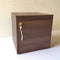 Straight Line Locker Storage/Cabinet/Cube Box By Miza