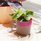 Arty Round Planter For Indoor Or Outdoor ( Multicolor By Harshdeep