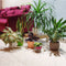 Valencia Planter For Indoor Or Outdoor ( Multicolor ) By Harshdeep
