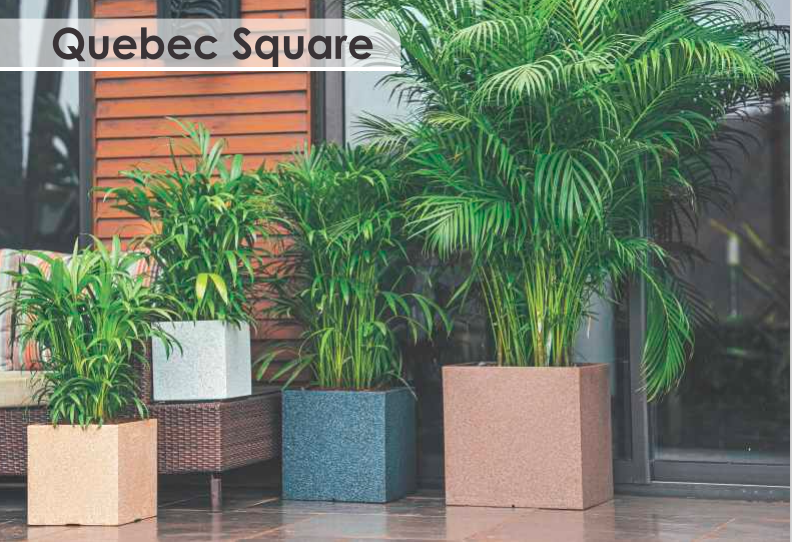 Quebec Square Planter For Indoor Or Outdoor By Harshdeep - Pack Of 3