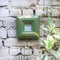 Wooden Red & Green Box Type Modern Painted Mango wood Photo Frame By HMF