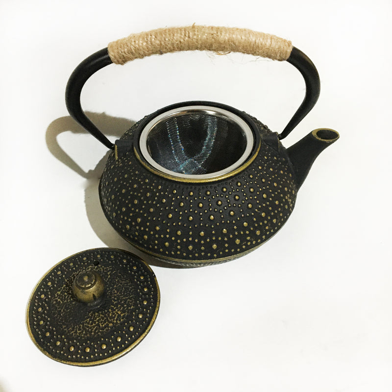 Japanese Black Floral Cast Iron Tea Kettle with Enameled Interior