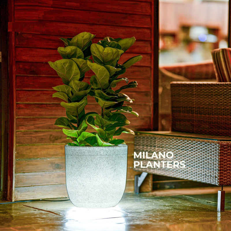 Milano Short Planter With/Without Illumination For Indoor Or Outdoor By Harshdeep - 1 Pc