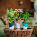 Atlantis - Self Watering Planter For Indoor Or Outdoor ( Multicolor ) By Harshdeep