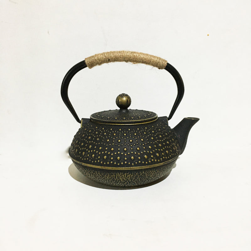 Japanese Black Floral Cast Iron Tea Kettle with Enameled Interior