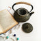 Authentic New Japanese Cast Iron Teapot Set Tetsubin Kettle 800ml