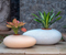 Pebble Planter With/Without Illumination For Indoor Or Outdoor By Harshdeep