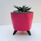 Lagos Planter For Indoor Or Outdoor ( Multicolor ) By Harshdeep