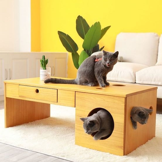 Rectangular Coffee Table With Drawer & Cat/Dog House By Miza