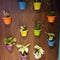 Bello Wall Pots/Planter For Indoor Or Outdoor ( Multicolor ) By Harshdeep