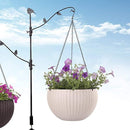 Capri Hanging Planter For Indoor Or Outdoor ( Multicolor ) By Harshdeep