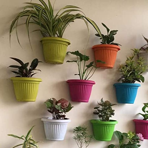 Bello Wall Pots/Planter For Indoor Or Outdoor ( Multicolor ) By Harshdeep