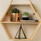 Geometric/Hexagonal Handmade Shelf By Miza