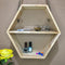 Geometric/Hexagonal Handmade Shelf ( With Complementary Coaster ) By Miza