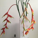 Artificial Flower Bird of Paradise Heliconia