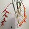 Artificial Flower Bird of Paradise Heliconia