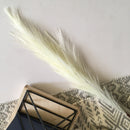 Artificial Pampas Fluffy Reed Grass Leaf For Decor ( 34 Inches Tall, 1 Stick)