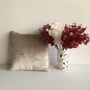 Decorative Plain Beige Velvet Cushion Cover 1Pc