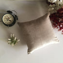 Decorative Plain Beige Velvet Cushion Cover 1Pc